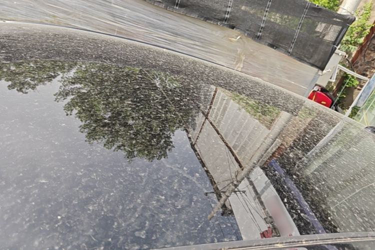 Used Volkswagen ID.3 2021 Pro Smart Edition Roof