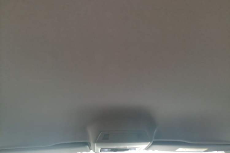 Used Volkswagen ID.3 2021 Pure Edition Headliner