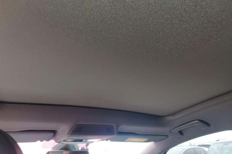 Used Volkswagen ID.3 2023 Pure Smart Edition Headliner