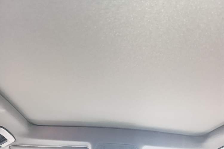 Used Volkswagen ID.3 2023 Pure Smart Edition Headliner