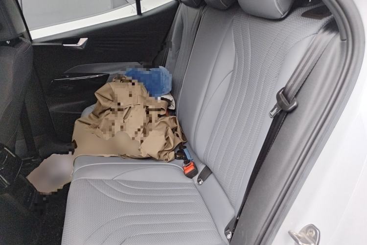 Used Volkswagen ID.3 2023 Upgraded Model Pure Intelligent Enjoyment Version Left Rear Seat