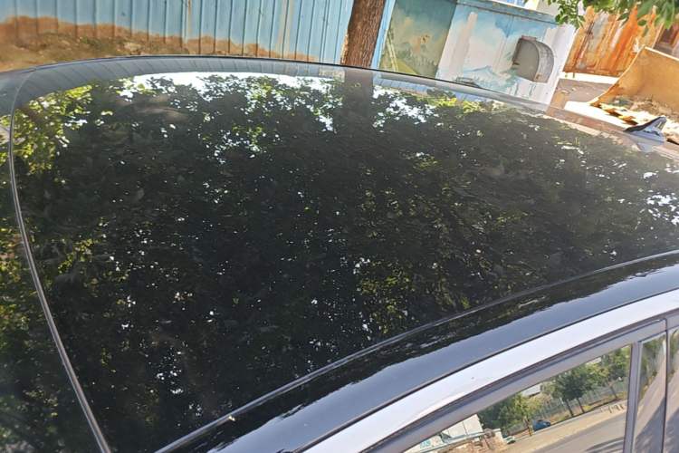 Used Volkswagen ID.3 2023 Pure Smart Edition Roof