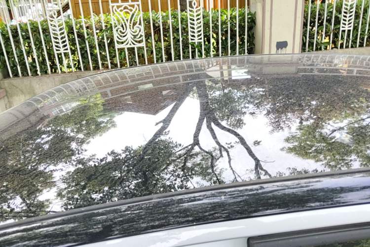 Used Volkswagen ID.3 2024 Outstanding Edition Roof