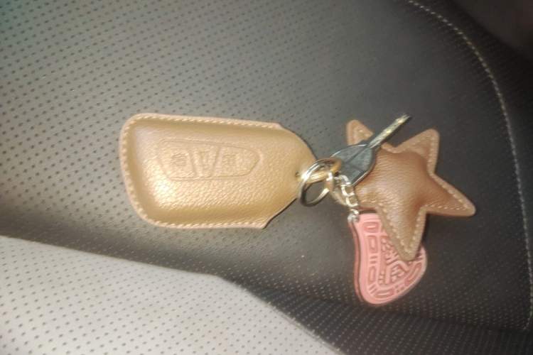 Used Volkswagen ID.3 2025 Smart Edition Ultra-Intelligent Oxygen Version Vehicle Key