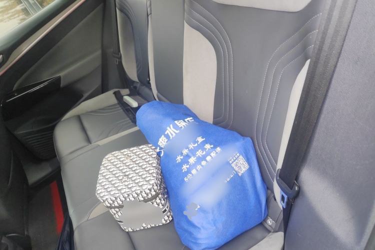 Used Volkswagen ID.4 CROZZ 2021 Yeyue First-Edition Two-Wheel-Drive Version Left Rear Seat