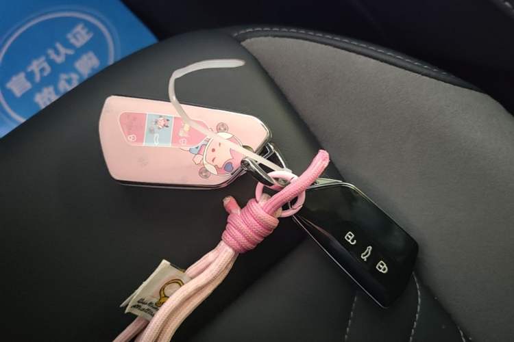 Used Volkswagen ID.4 CROZZ 2021 Long-Range Lite PRO Two-Wheel Drive Version Vehicle Key