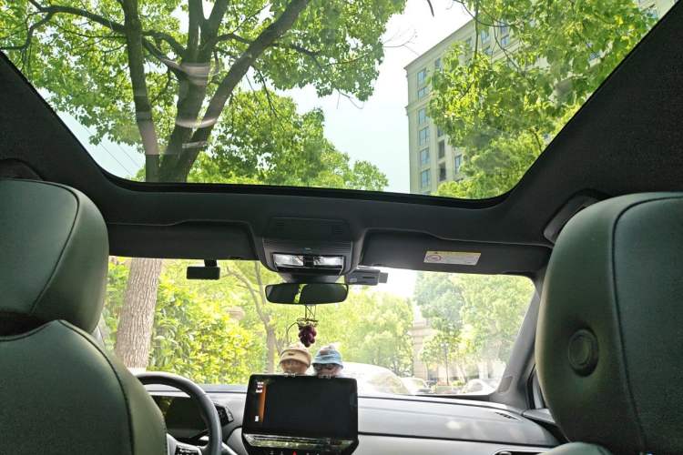 Used Volkswagen ID.4 CROZZ 2021 Yeyue First-Edition Two-Wheel-Drive Version Headliner