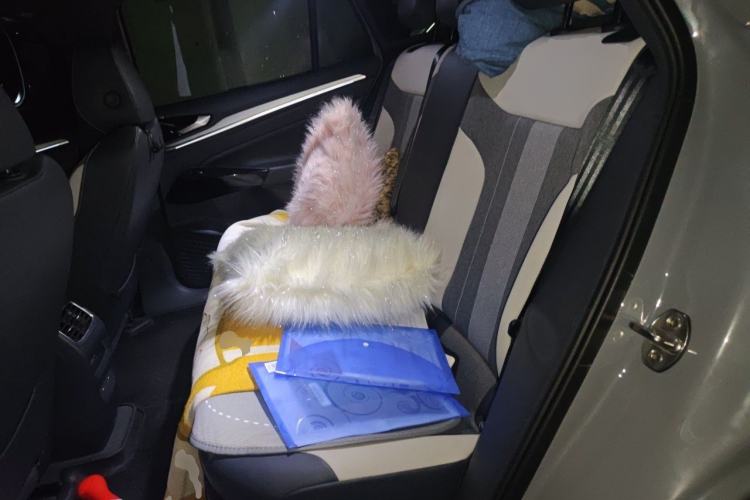 Used Volkswagen ID.4 CROZZ 2024 Pure Edition Limited Edition Left Rear Seat