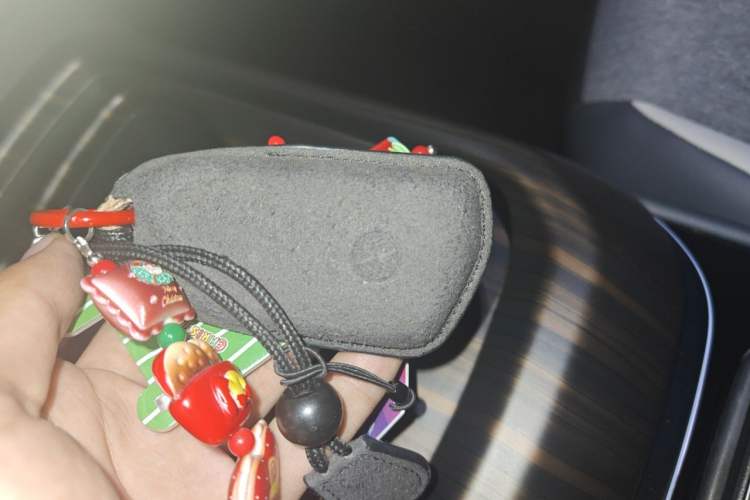 Used Volkswagen ID.4 CROZZ 2024 Pure Edition Limited Edition Vehicle Key