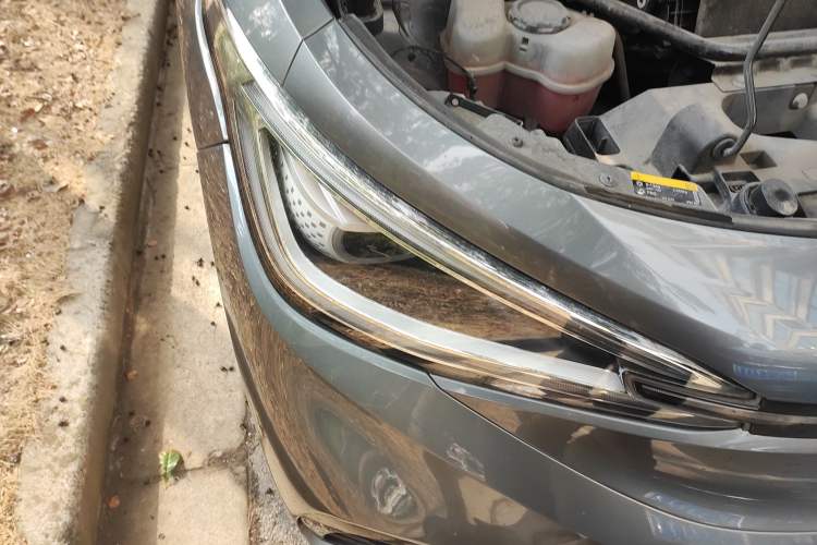 Used Volkswagen ID.4 X 2021 Kinergy All-Wheel Drive Early-Bird Edition Right Front Headlight