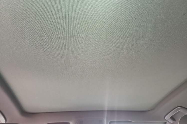 Used Volkswagen ID.4 X 2021 Pure Edition Headliner