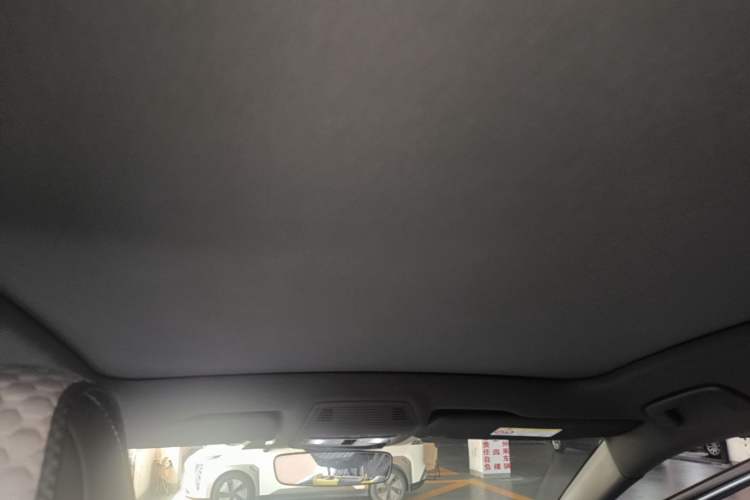 Used Volkswagen ID.4 X 2022 Intelligent Long-Range Version Headliner
