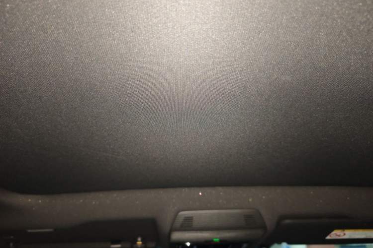 Used Volkswagen ID.4 X 2022 Intelligent Long-Range Version Headliner
