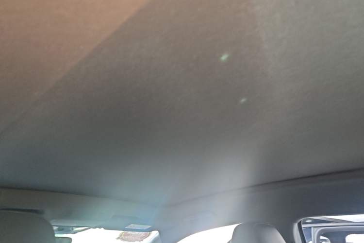 Used Volkswagen ID.4 X 2022 Smart Enjoyment Long-Range Edition Headliner
