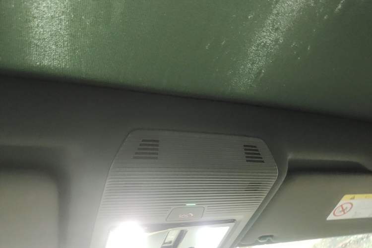 Used Volkswagen ID.4 X 2022 Pure Long-Range Version Headliner