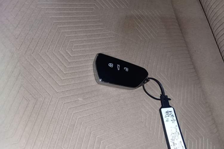 Used Volkswagen ID.4 X 2022 Smart Enjoyment Long-Range Edition Vehicle Key