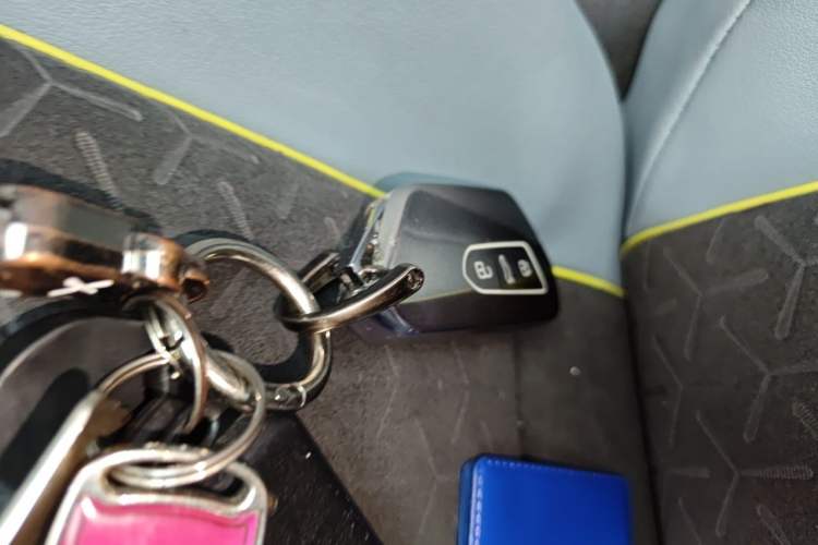Used Volkswagen ID.4 X 2022 Smart Enjoyment Long-Range Edition Vehicle Key
