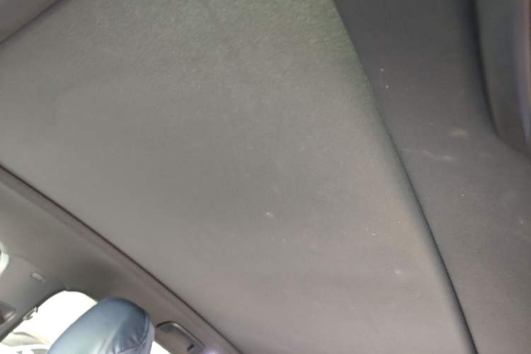 Used Volkswagen ID.4 X 2023 Pure Smart Edition Headliner