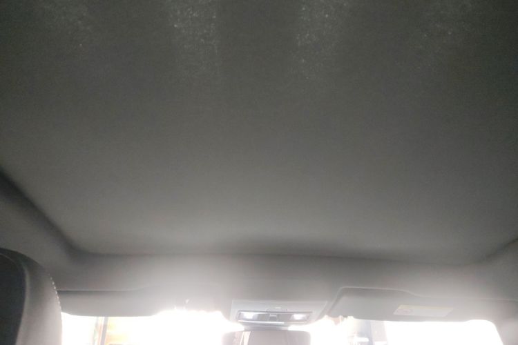Used Volkswagen ID.4 X 2023 Pure Long-Range Version Headliner