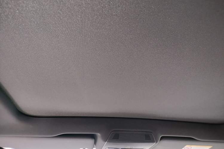 Used Volkswagen ID.4 X 2023 Pure Long-Range Version Headliner