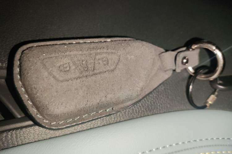 Used Volkswagen ID.4 X 2023 Upgraded Model Pure Long-Range Version Vehicle Key