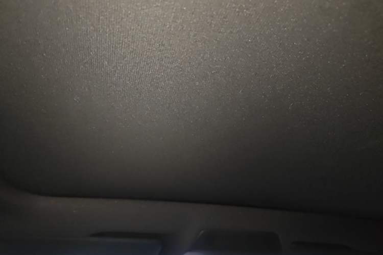 Used Volkswagen ID.4 X 2024 Pure & Smart Edition Headliner