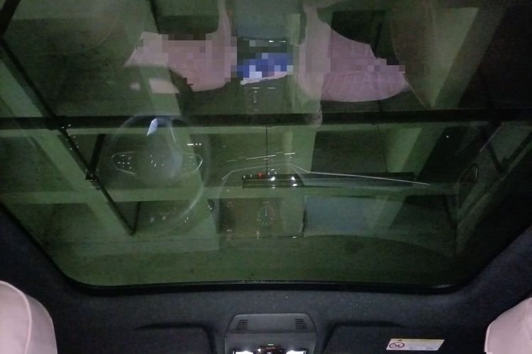 Used Volkswagen ID.4 X 2024 Pure & Smart Edition Headliner