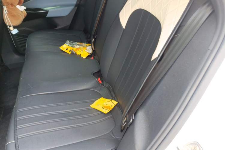 Used Volkswagen ID.4 X 2024 Pure & Smart Edition Left Rear Seat