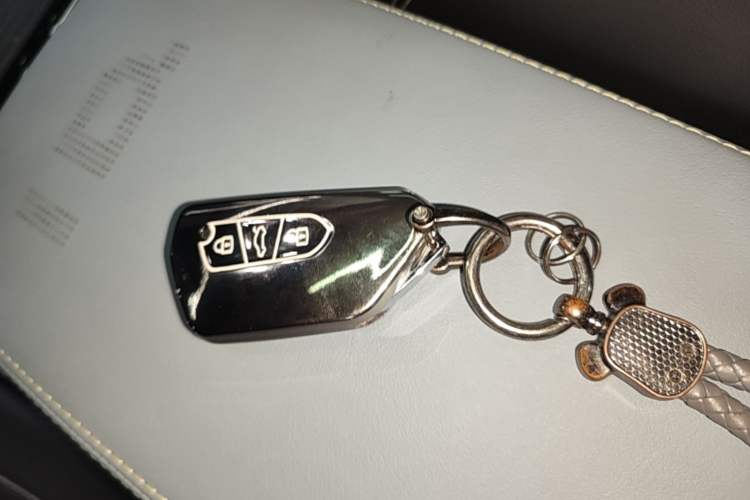 Used Volkswagen ID.4 X 2024 Pure & Smart Edition Vehicle Key