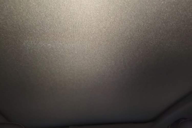 Used Volkswagen ID.4 X 2025 Smart Version Pure & Intelligent Enjoyment Edition Headliner