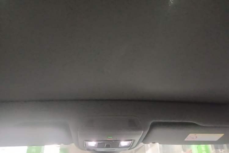 Used Volkswagen ID.4 X 2025 Smart Version Pure & Intelligent Enjoyment Edition Headliner