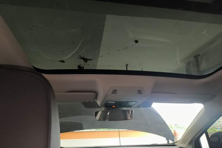 Used Volkswagen ID.6 CROZZ 2021 Long-Range PRO Edition Headliner