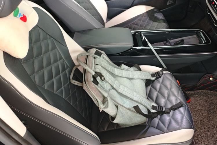 Used Volkswagen ID.6 CROZZ 2021 Long-Range PRO Edition Right Front Seat