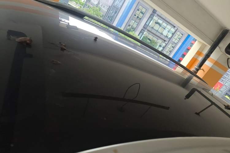 Used Volkswagen ID.6 CROZZ 2021 Long-Range PRO Edition Roof