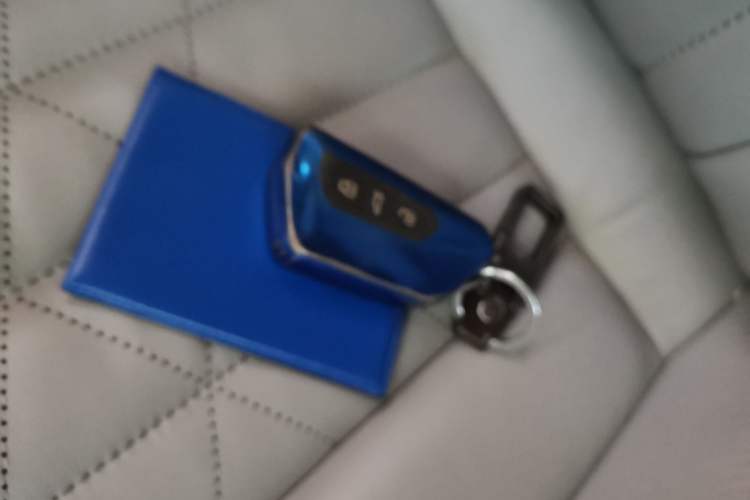 Used Volkswagen ID.6 X 2021 Pro Smart Long-Range Edition Vehicle Key