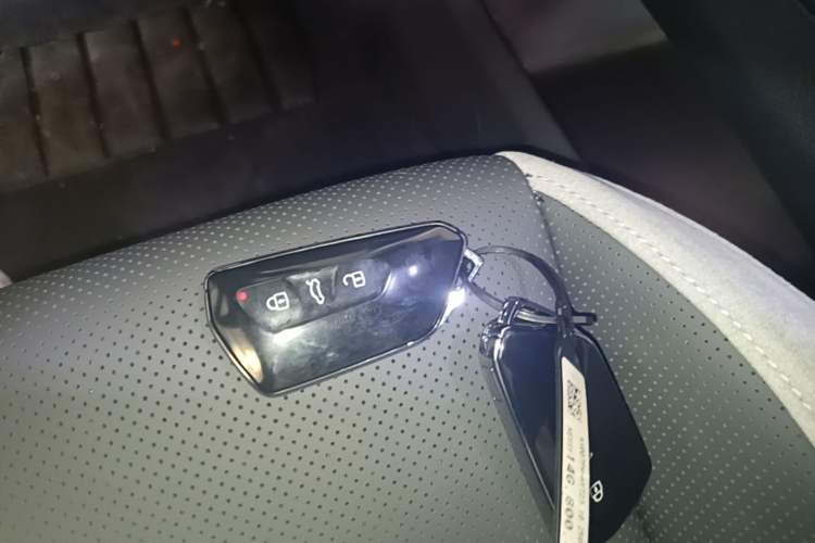 Used Volkswagen ID.7 VIZZION 2024 PRO Model Vehicle Key