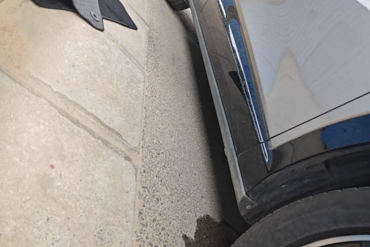 Used Volkswagen ID.UNYX 2024 Revised Pro Long-Range Version Right Side Sill