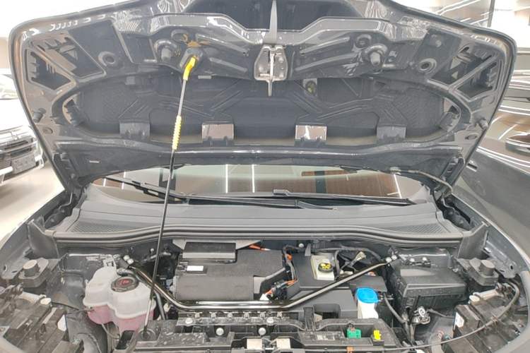 Used Volkswagen ID.UNYX 2024 Revised Ultra Long-Range Version Engine Bay
