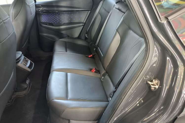 Used Volkswagen ID.UNYX 2024 Revised Ultra Long-Range Version Left Rear Seat