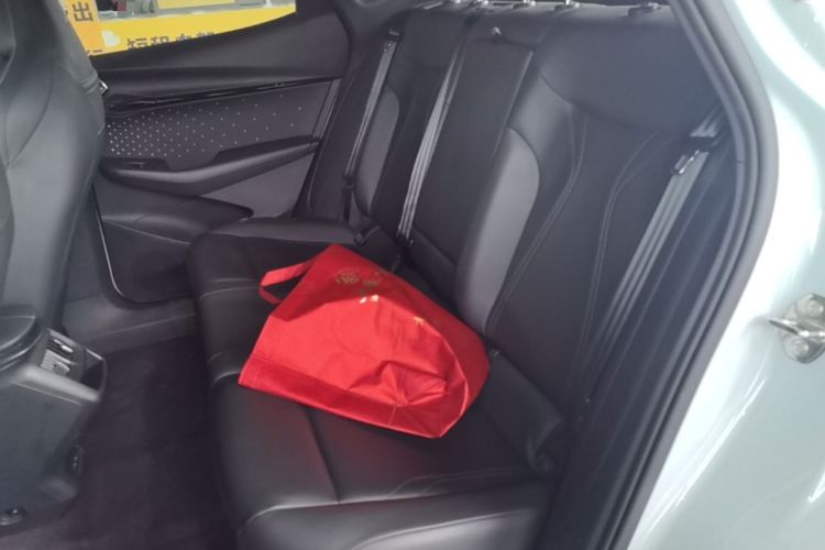 Used Volkswagen ID.UNYX 2024 Ultra Long-Range Version Left Rear Seat