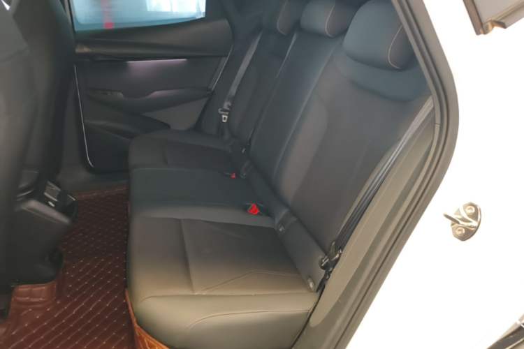 Used Volkswagen ID.UNYX 2024 Revised Pro Long-Range Version Left Rear Seat