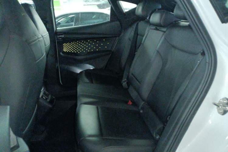 Used Volkswagen ID.UNYX 2024 Ultra Long-Range Version Left Rear Seat