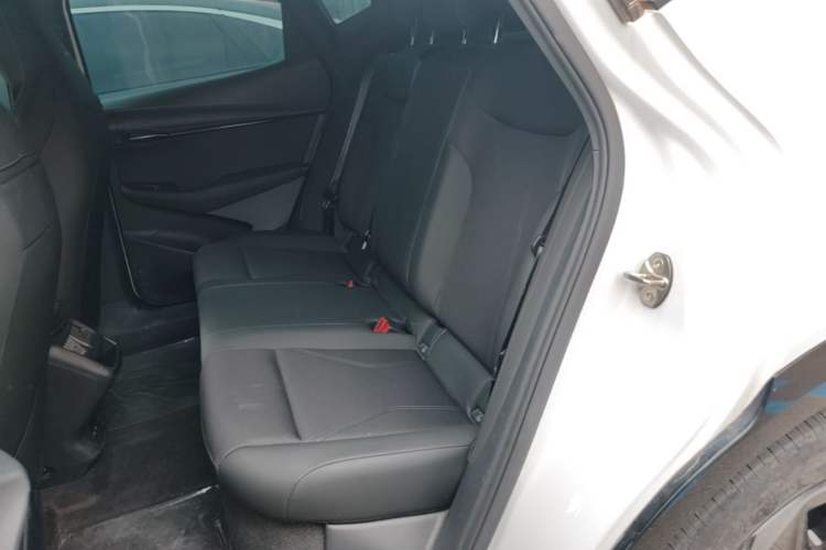 Used Volkswagen ID.UNYX 2024 Revised Pro Long-Range Version Left Rear Seat