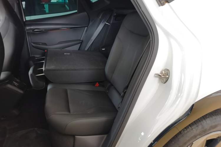 Used Volkswagen ID.UNYX 2024 Revised Pro Long-Range Version Left Rear Seat