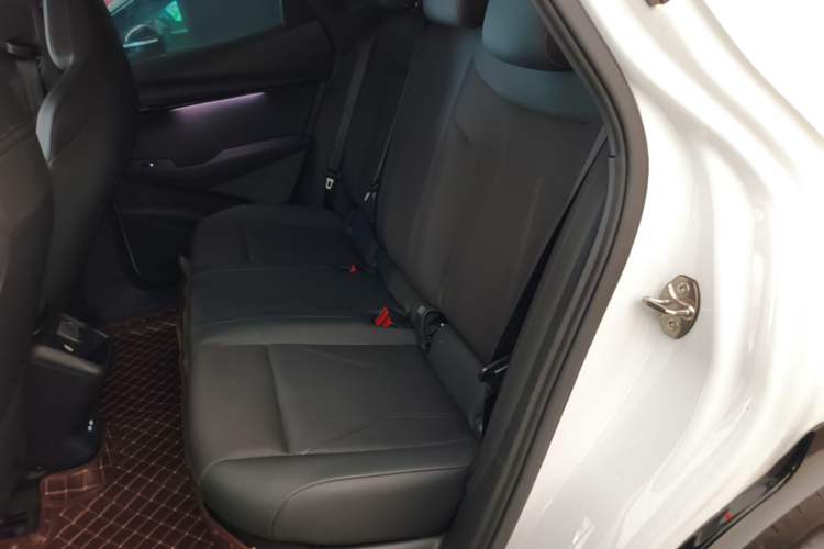 Used Volkswagen ID.UNYX 2024 Revised Pro Long-Range Version Left Rear Seat
