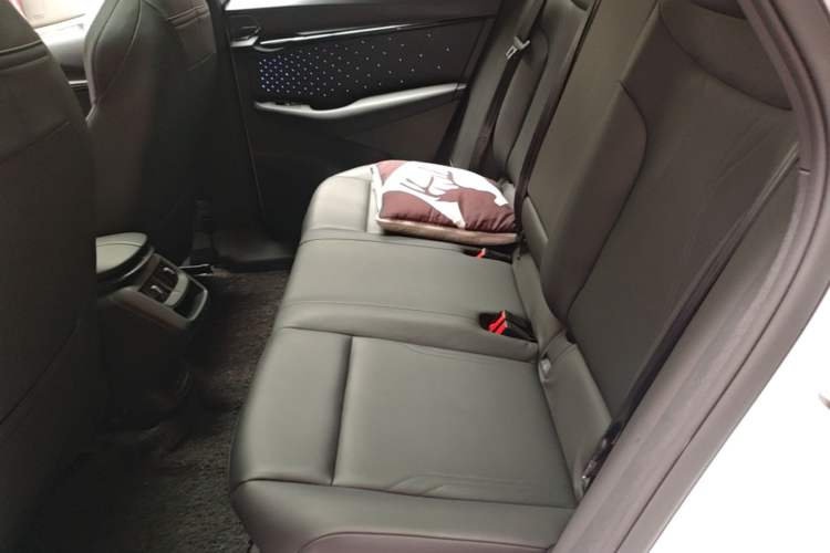 Used Volkswagen ID.UNYX 2024 Revised Ultra Long-Range Version Left Rear Seat