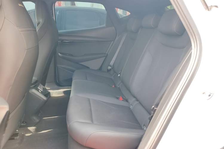 Used Volkswagen ID.UNYX 2024 Revised Pro Long-Range Version Left Rear Seat