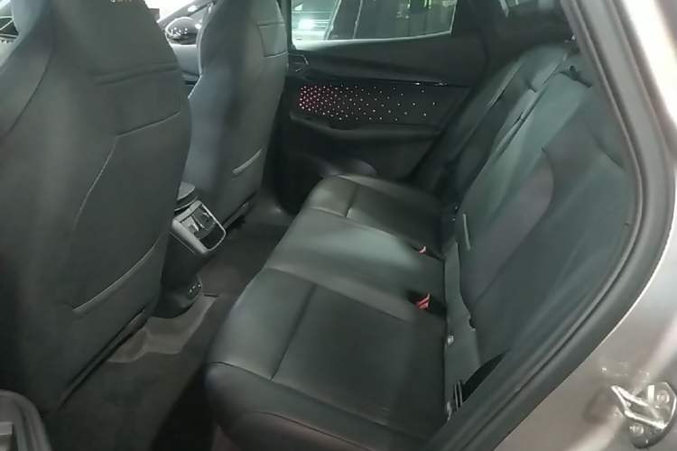 Used Volkswagen ID.UNYX 2024 Ultra Long-Range Version Left Rear Seat