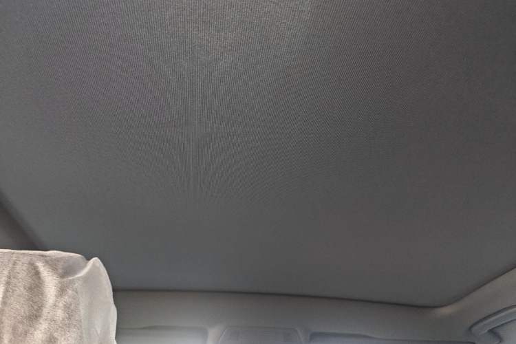 Used Volkswagen ID.UNYX 2025 Pure Model Headliner