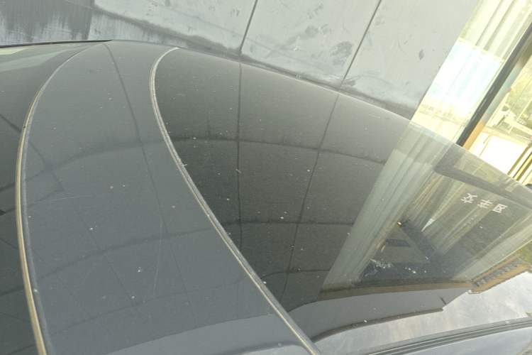 Used Volkswagen ID.UNYX 2025 Pure Model Roof